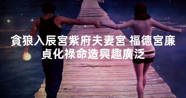 貪狼入辰宮紫府夫妻宮 福德宮廉貞化祿命造興趣廣泛